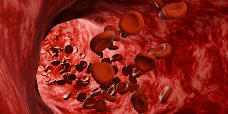 最強通血管食物